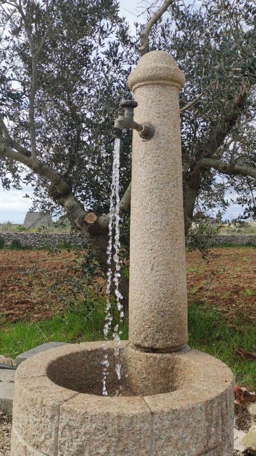 Palacca, Trullo Salentino Andrano Exterior foto
