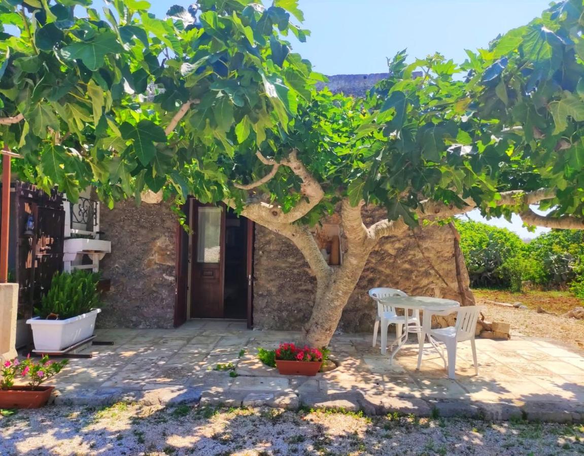 Palacca, Trullo Salentino Andrano Exterior foto