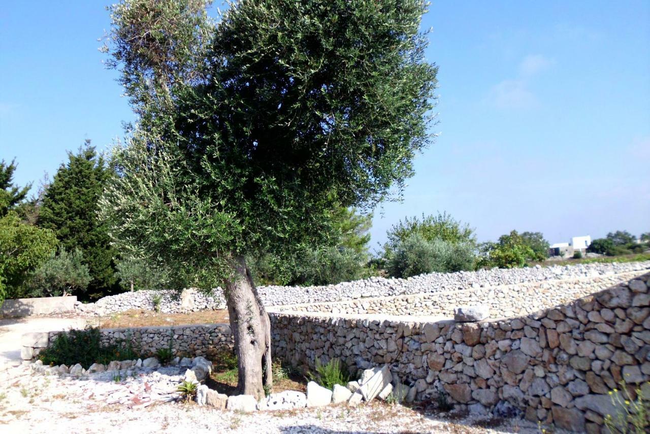 Palacca, Trullo Salentino Andrano Exterior foto